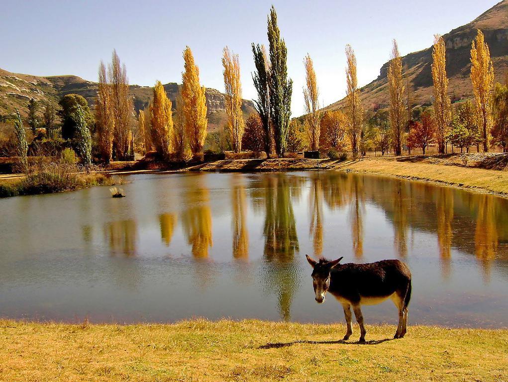 Lake Clarens Guest House Екстериор снимка