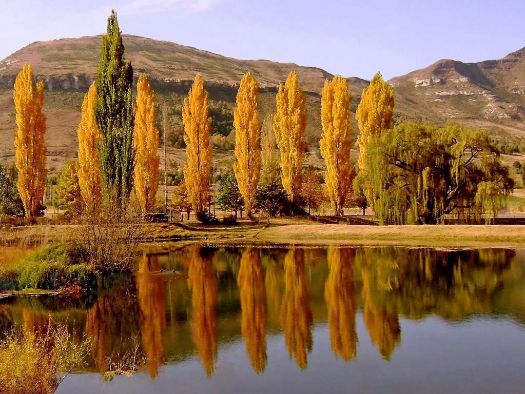 Lake Clarens Guest House Стая снимка